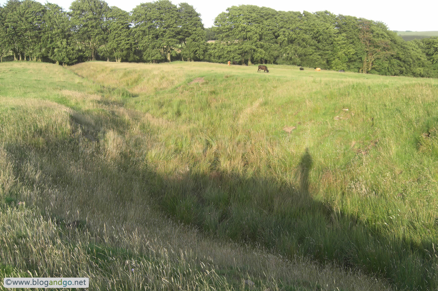 Hadrian's Wall Path - On the way to Birdoswald